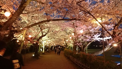 高松市の栗林公園